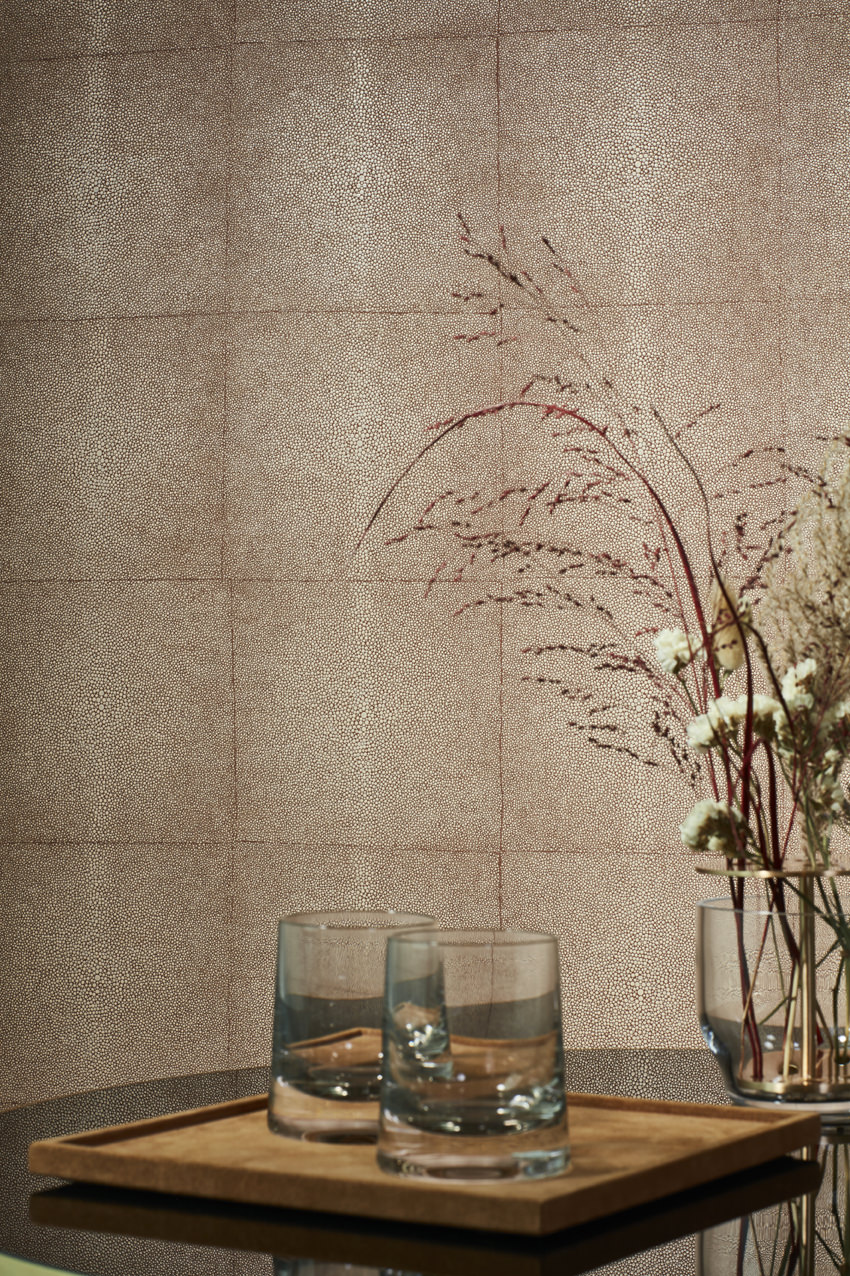 Icons Collection at Tonsor